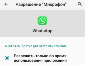 Групповые видеозвонки в Whatsapp | Фото unnamed 300x229